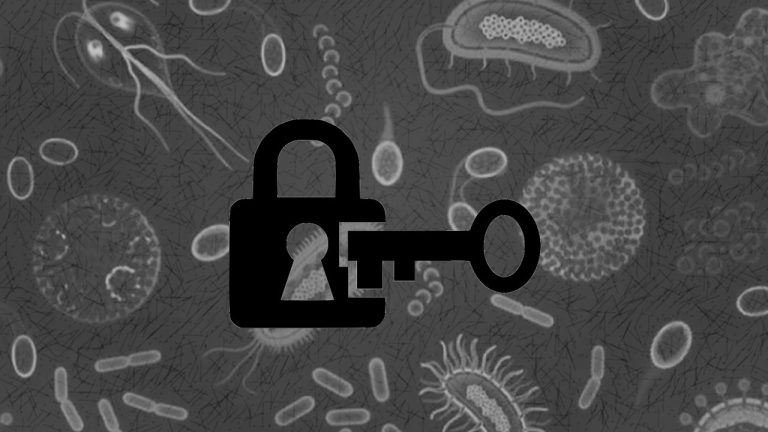 Blog_Microbes_Locked