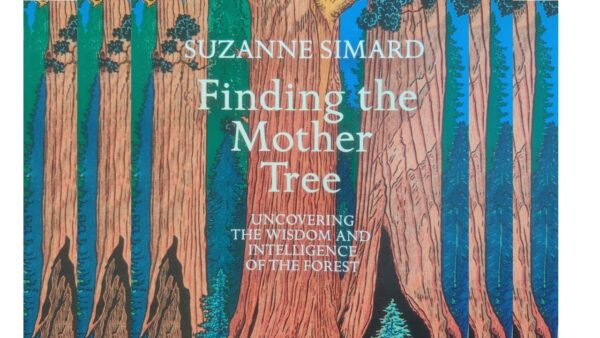 They Are People, The Tree People | MitraSena