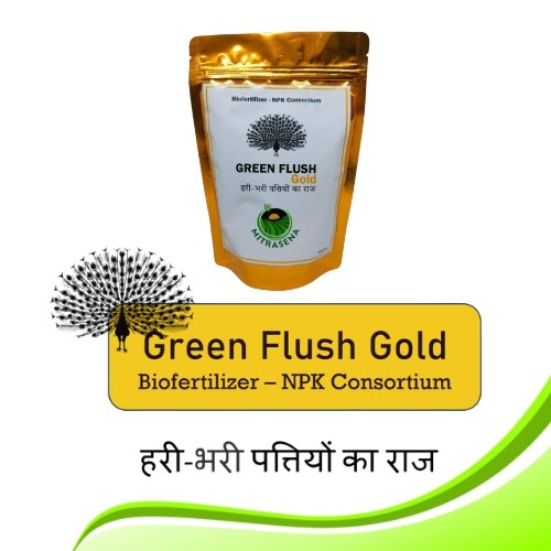 Greenflush gold thumbnail