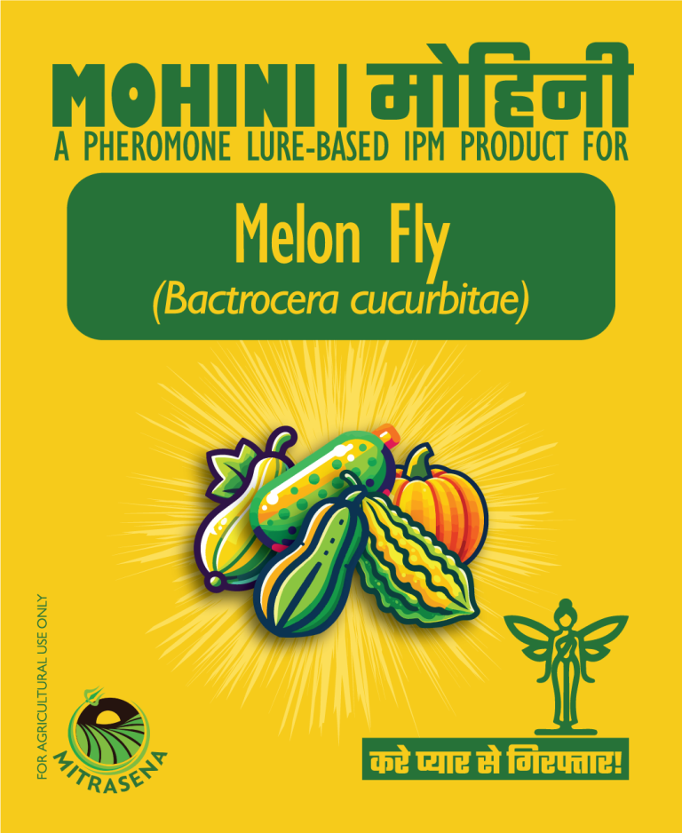 Melon Fly F