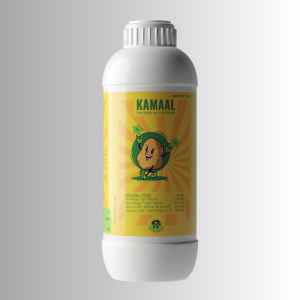 KAMAAL