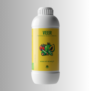 VEER