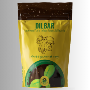 DILBAR